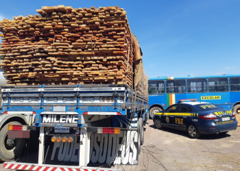 Carga de madeira irregular apreendida em 2019 no Piauí é 80% maior que a de 2018